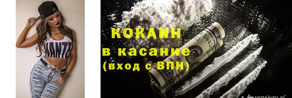 мет Алексин